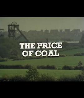 煤的价格：第二部分