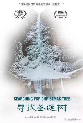 寻找圣诞树
