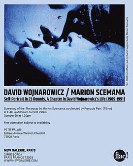 23轮自画像：1989-1991中大卫·沃纳罗维奇生活的一章