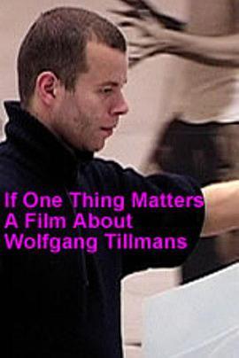 如果有一件事是重要的：关于沃尔夫冈·提尔曼斯