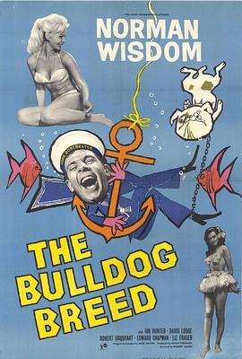 TheBulldogBreed