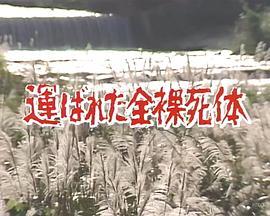 混浴岩風呂連続殺人にせ夫婦東北ツアー運ばれた全裸死体