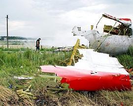 秘密文件：谁击落了MH17？