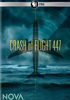 PBSNOVA:CrashofFlight447