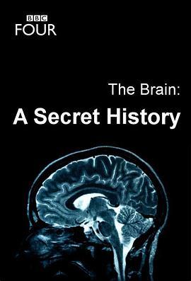 大脑：神秘的历史第一季