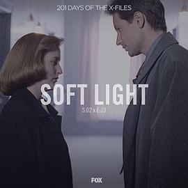 "TheXFiles"Season2,Episode23:SoftLight