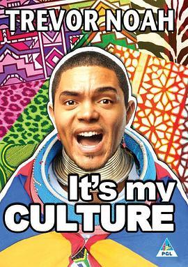 特雷弗·诺亚：这是我的文化