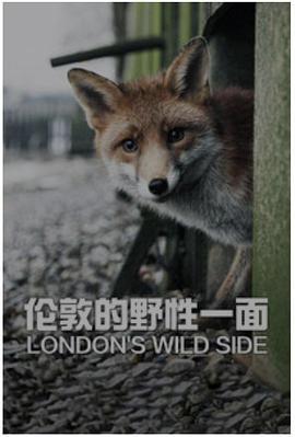 自然世界：伦敦野性的一面