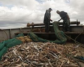 FishingforLitter