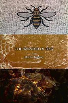 玛莎·卡妮领略神奇的蜜蜂