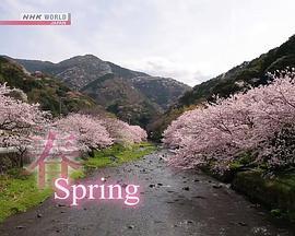 骑行日本：春游伊豆半岛