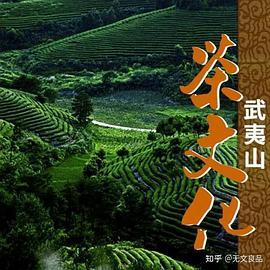 武夷山茶文化